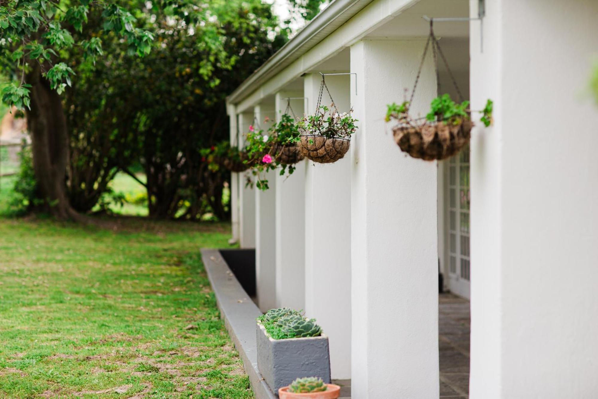 Bed and Breakfast Marshden Estate Stellenbosch Exteriér fotografie