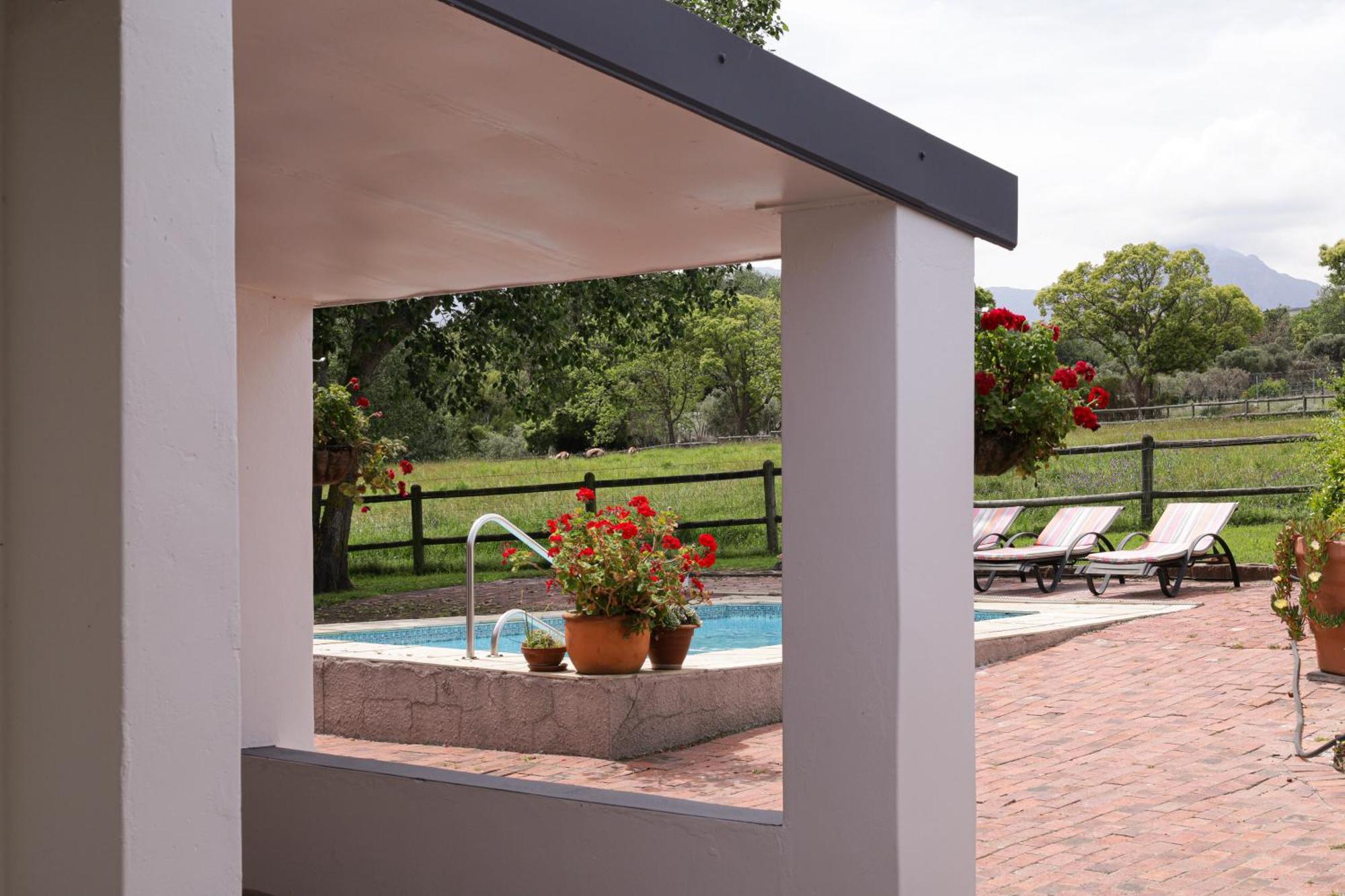 Bed and Breakfast Marshden Estate Stellenbosch Exteriér fotografie