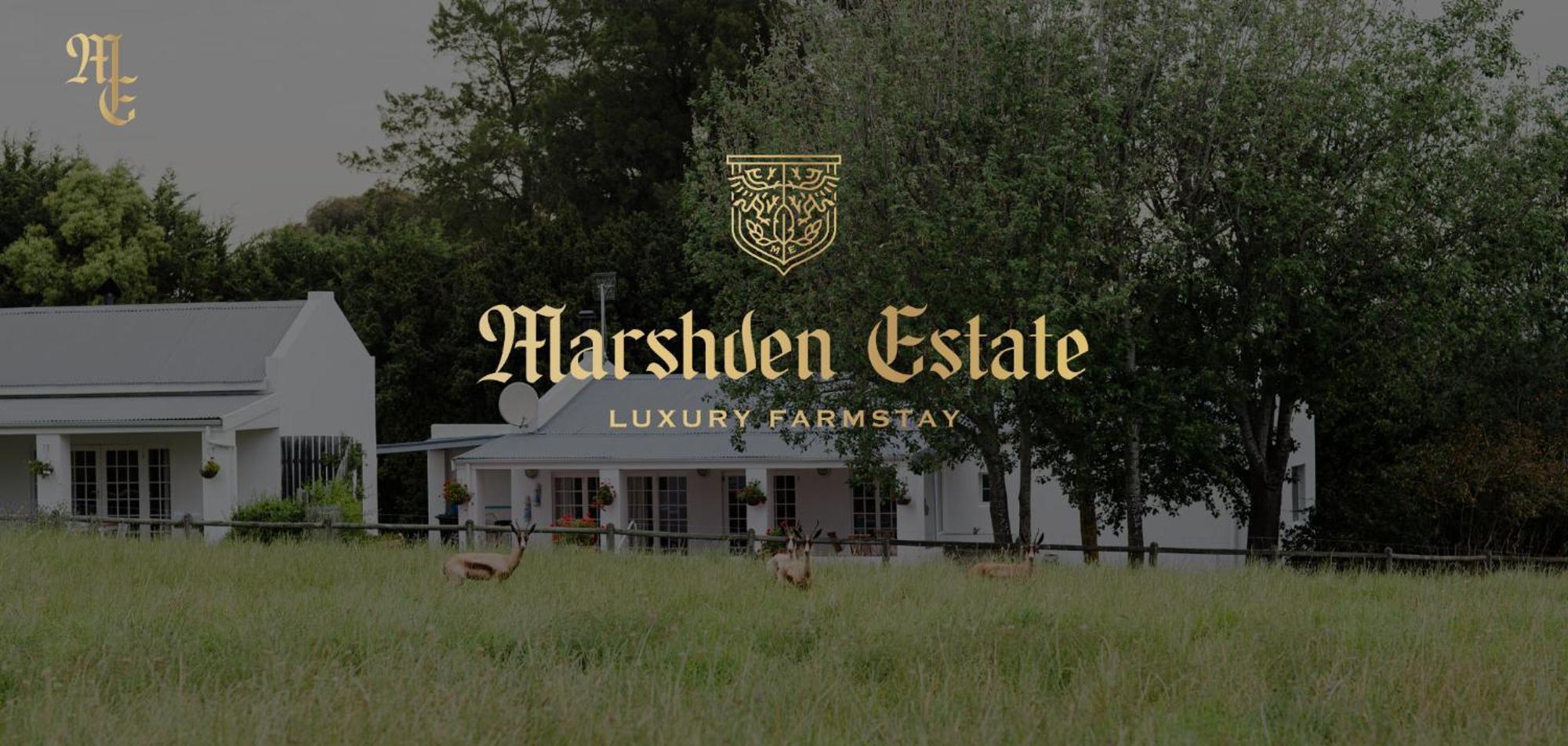 Bed and Breakfast Marshden Estate Stellenbosch Exteriér fotografie